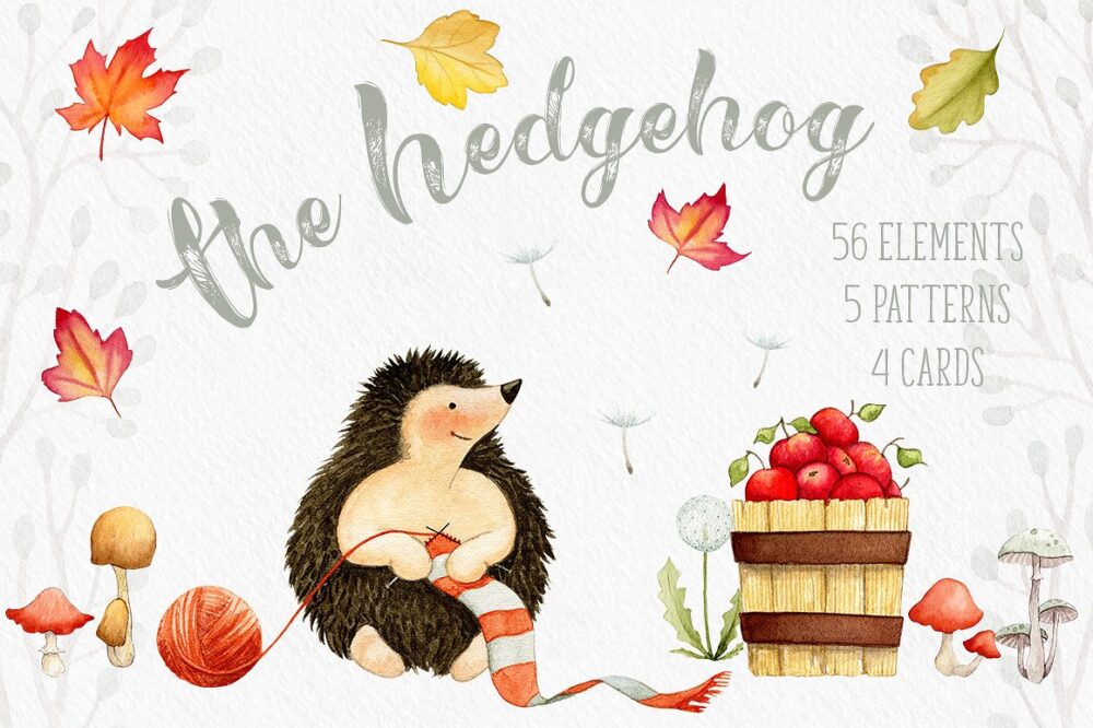 The Hedgehog - Autumn watercolor Collection